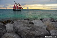 Miami Essentials Living and Traveling Smart