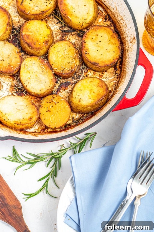 featured 28133
