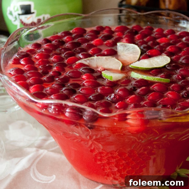 Festive Holiday Red Cranberry Punch recipe is a delicious fruity punch to serve at any party. The frozen cranberries and deep, rich red color make it perfect for Christmas!