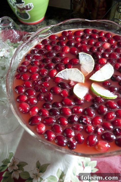 Christmas sweet Red Cranberry Punch recipe is a delicious fruity punch to serve at any party. The frozen cranberries and deep, rich red color make it perfect for the holidays!