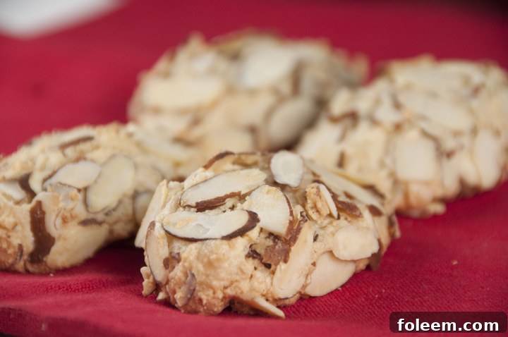 Grandmas Almond Macaroons Italian Cookie Recipe for Christmas or any holiday
