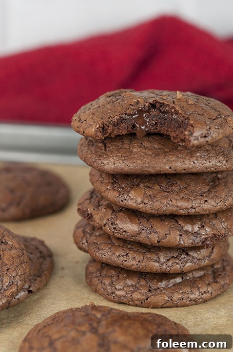 Double Chocolate Truffle Cookies {Wishes & Dishes}