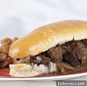 Fancy Sloppy Joe, aka 