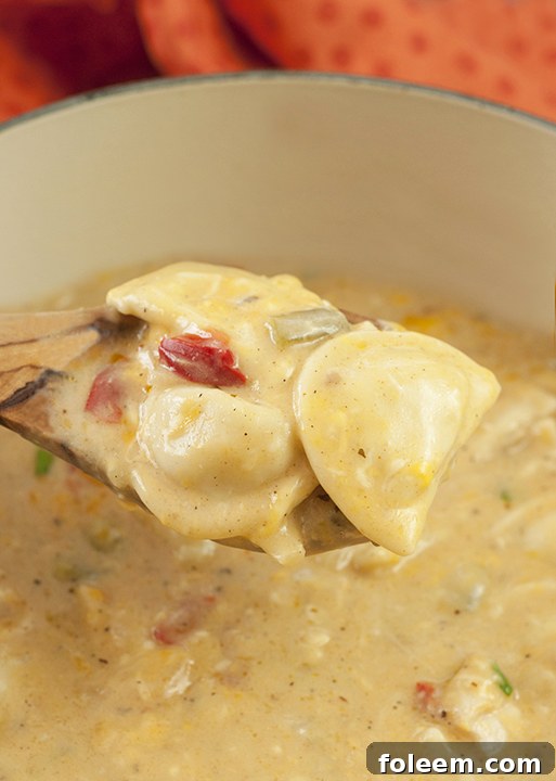 Cheesy Cajun Chicken Pierogi Bake Recipe is classic comfort food that will take your weeknight dinner to a whole new level. It is all made in one dish complete with chicken and veggies!
