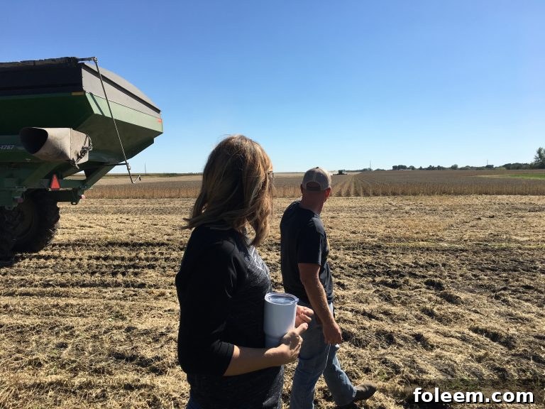 Harvest time at the Kenney family farm in Nevada, Iowa, showcasing vast cornfields.