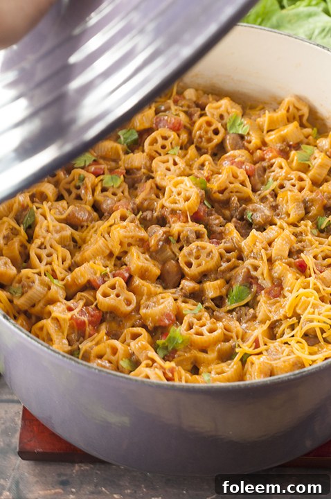 Easy One Pot Chili Mac and Cheese combines two favorite childhood foods: mac 'n cheese and chili. You get the best of both worlds with this hearty dinner with gooey cheese that takes 25 minutes to make!
