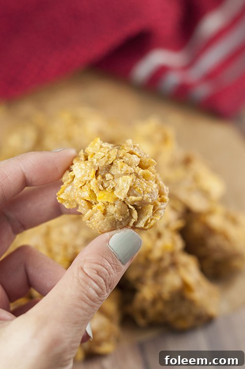 Five straightforward ingredients are all it takes to create these No-Bake Grandma's Peanut Butter Corn Flake Clusters, an ideal dessert for any holiday gathering like Christmas or Thanksgiving. They are notoriously addictive and delightful.
