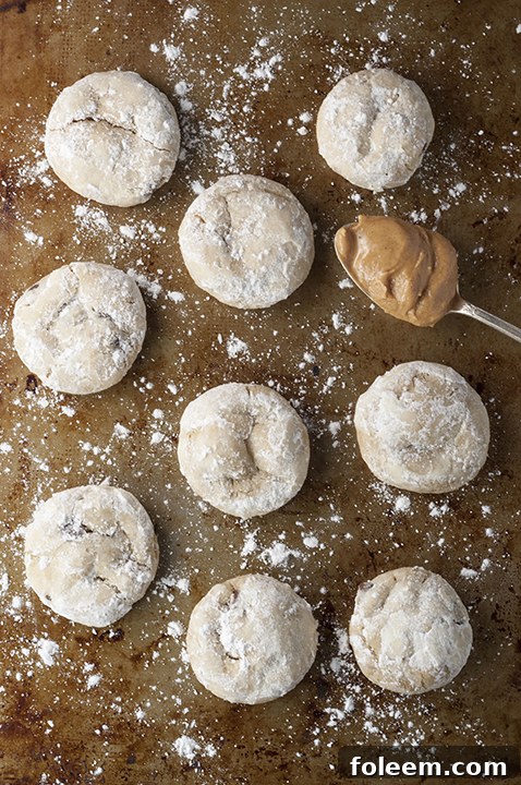 Soft and chewy Peanut Butter Chocolate Crinkle Cookies dough balls, rolled in powdered sugar, waiting to be baked.