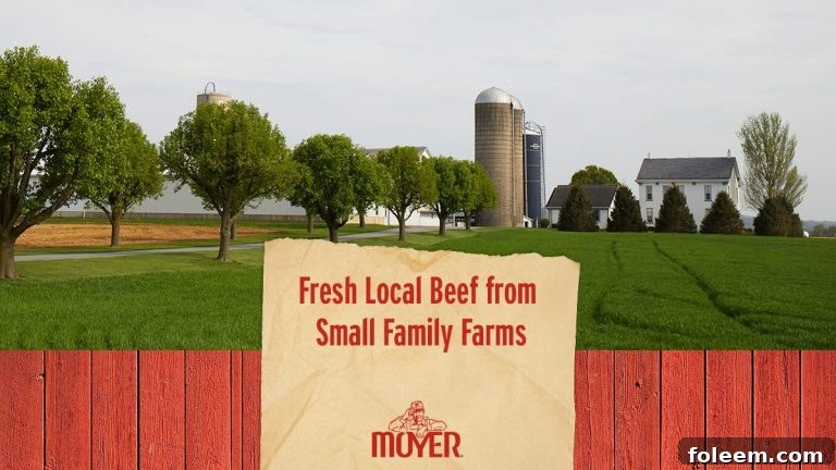 Moyer Beef tagline: Fresh Local Beef From Small Family Farms, highlighting their commitment to quality and local sourcing.