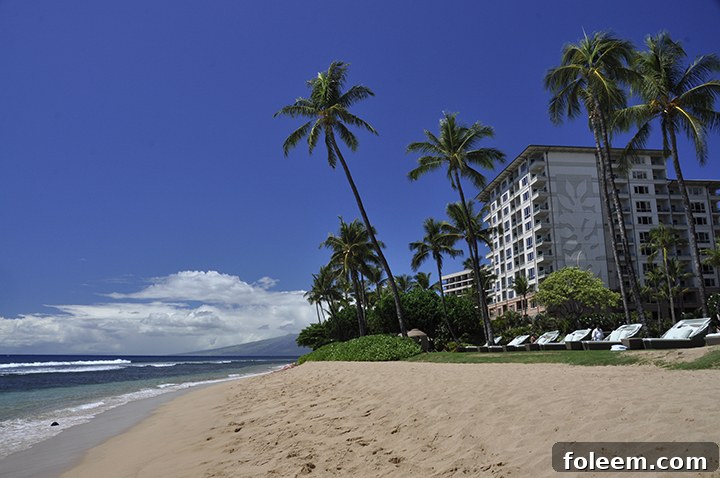 The beautiful beach area at the Hyatt Regency Maui, perfect for a relaxing vacation.