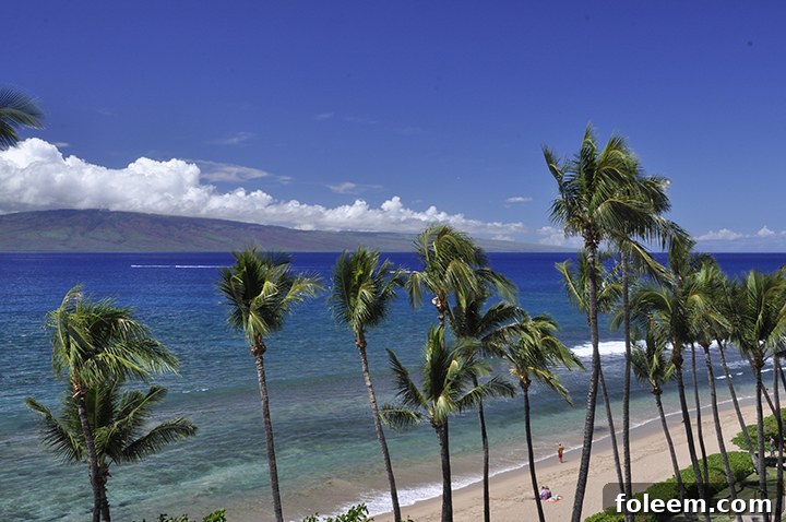 Another scenic view of the Hyatt Regency Maui, highlighting its beautiful grounds and ocean proximity.