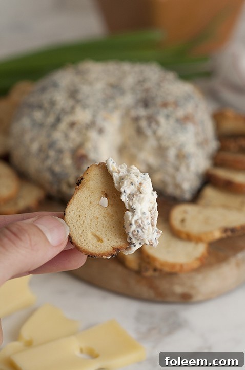 Versatile Everything Bagel Cheese Ball, perfect for Super Bowl, Christmas, Easter, or any party, served with various dippers.