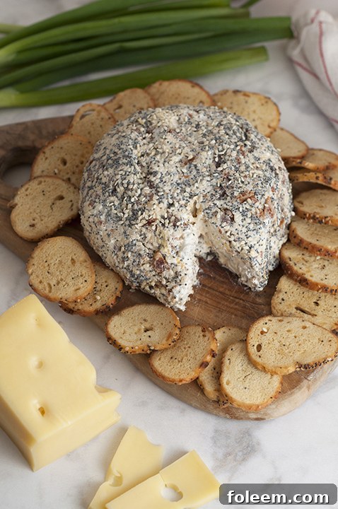 Everything Bagel Cheese Ball served on a platter with an assortment of bagel chips, crackers, and pretzels, ready for sharing.