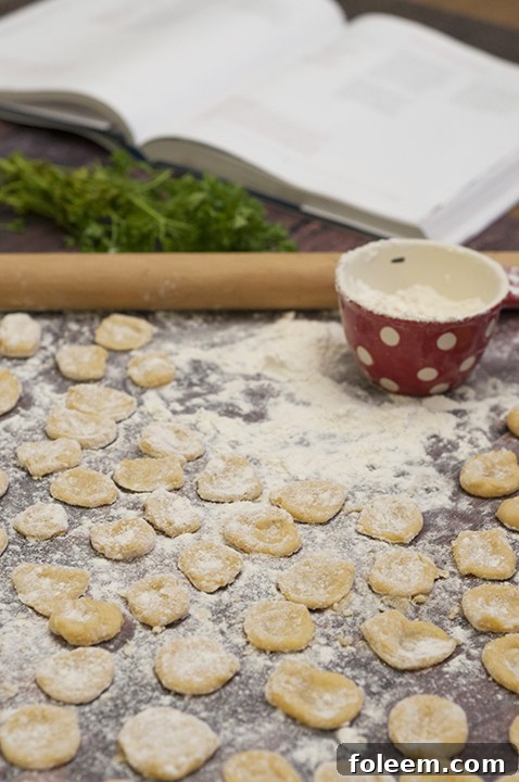 Making homemade Italian pasta from scratch can seem like a challenging task, but this Homemade Egg Pasta made right in the food processor will show you just how easy homemade pasta can be!