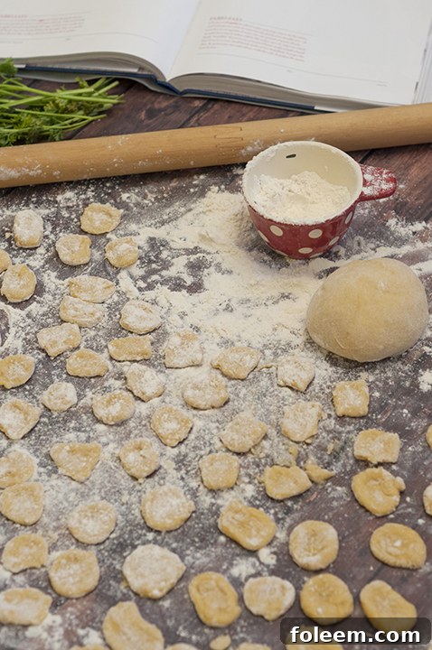 Making homemade Italian pasta from scratch can seem like a daunting task, but this Homemade Egg Pasta made right in the food processor will show you just how easy homemade pasta and orecchiette can be!