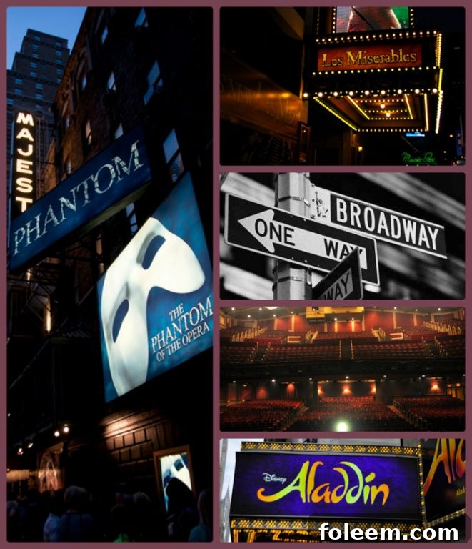 Reviews of Broadway shows: Aladdin, Phantom of the Opera, Les Miserables, Rock of Ages. Essential things to do in New York City.