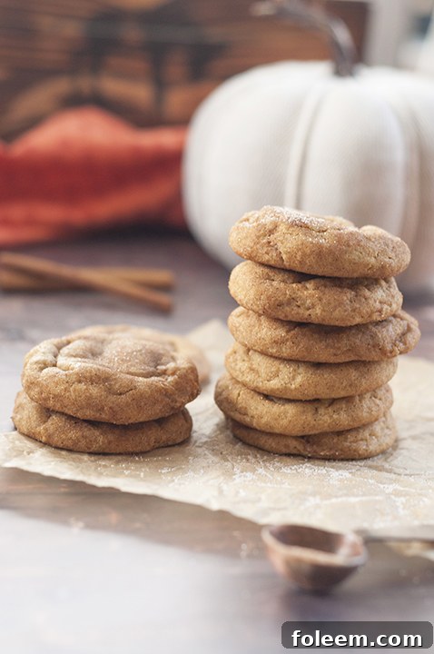 Close-up of a single Pumpkin Snickerdoodle cookie, showing its soft texture and cinnamon sugar coating.