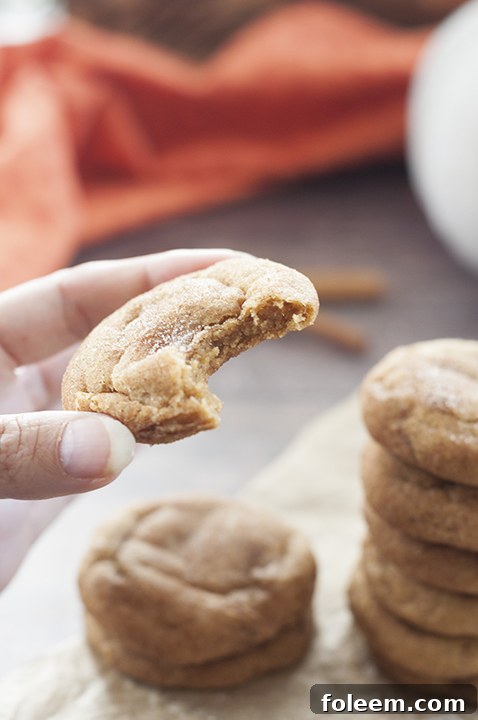 Assortment of Soft, fluffy Pumpkin Snickerdoodles with a festive autumn backdrop, highlighting their appeal as an easy holiday dessert.