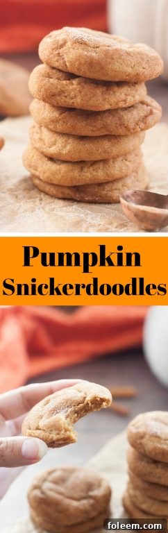 A festive display of Soft, fluffy Pumpkin Snickerdoodles, ideal for Christmas or any fall celebration.