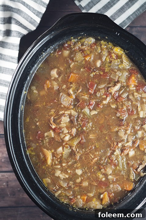 A comforting bowl of Slow Cooker Sicilian Chicken Soup, ready to be enjoyed with a side of crusty bread on a chilly day.