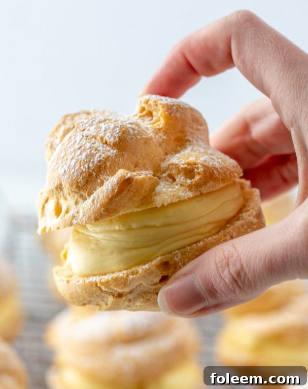 Vanilla cream-filled cream puffs dusted with powdered sugar