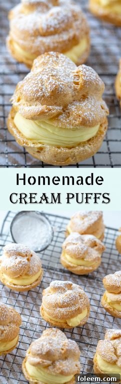 A single, perfectly baked and filled cream puff with powdered sugar