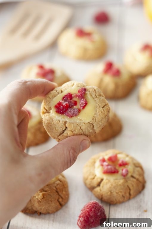 Easy New York Raspberry Cheesecake Cookies recipe perfect for Valentine's Day or any holiday dessert! Your favorite dessert made into perfectly balanced sweet and tart cookies with fresh raspberries or other fruit on top.