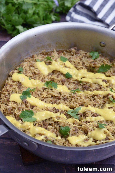 Skillet Taco Rice with Queso: Easy, Cheesy Tex-Mex Dinner Recipe Idea