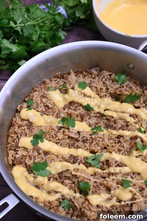 Family-Friendly Skillet Taco Rice with Queso: Quick and Cheesy Meal