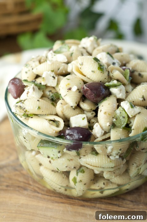 This side dish recipe for Greek Pasta Salad has all of the refreshing flavors of a classic Greek salad with cucumber, olives, and feta cheese. Everyone at your picnic will love this!