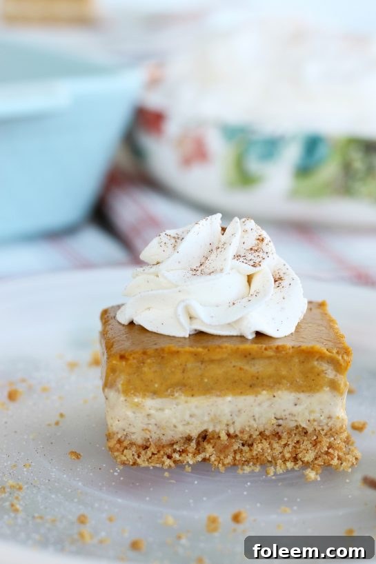 An individual pumpkin cream cheese bar on a plate with a dollop of whipped cream on top.