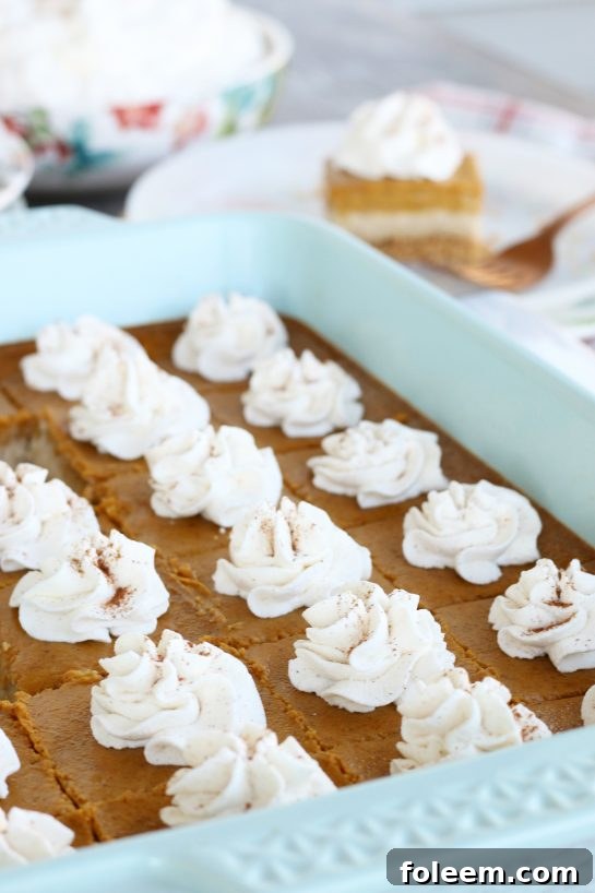 Pumpkin cheese cake bars cut into individual sized servings and topped with fresh whipped cream.
