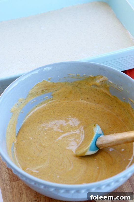 Pumpkin puree, ground nutmeg and pumpkin pie spice mixed together to make pumpkin flavored cheesecake batter.
