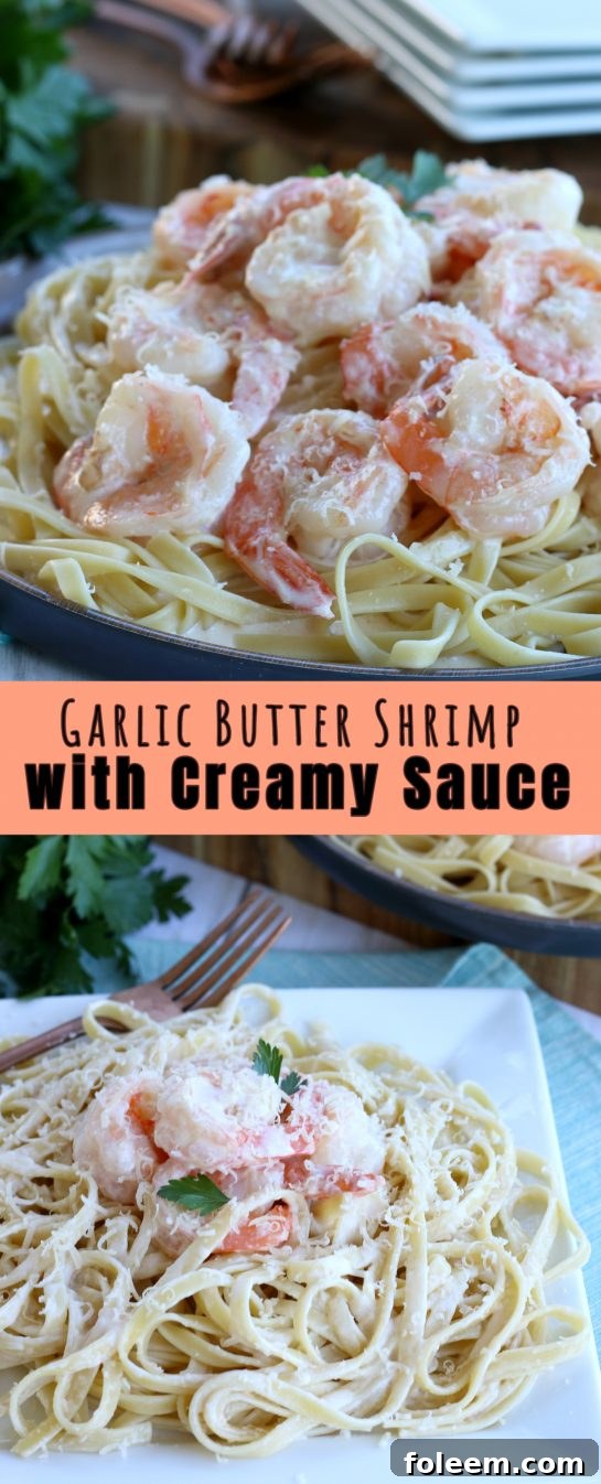 Garlic Butter Shrimp with Creamy Sauce recipe: learn how to cook shrimp with garlic sauce for an easy dinner recipe. Garlic butter shrimp are great alone or serve them with pasta!