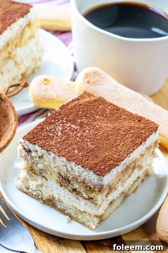 A tantalizing close-up of a single serving of Tiramisu, beautifully garnished with cocoa, perfect for a special occasion.