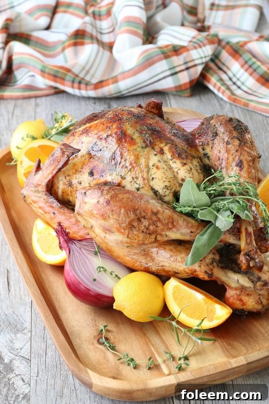 A perfectly roasted turkey, golden brown and ready to serve, highlighting the delicious outcome of successful brining.