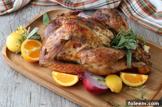 A horizontal perspective of the various ingredients for the turkey brine recipe, neatly arranged.