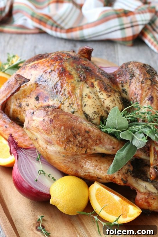 A close-up view of the perfectly prepared turkey after brining, showcasing its readiness for roasting.