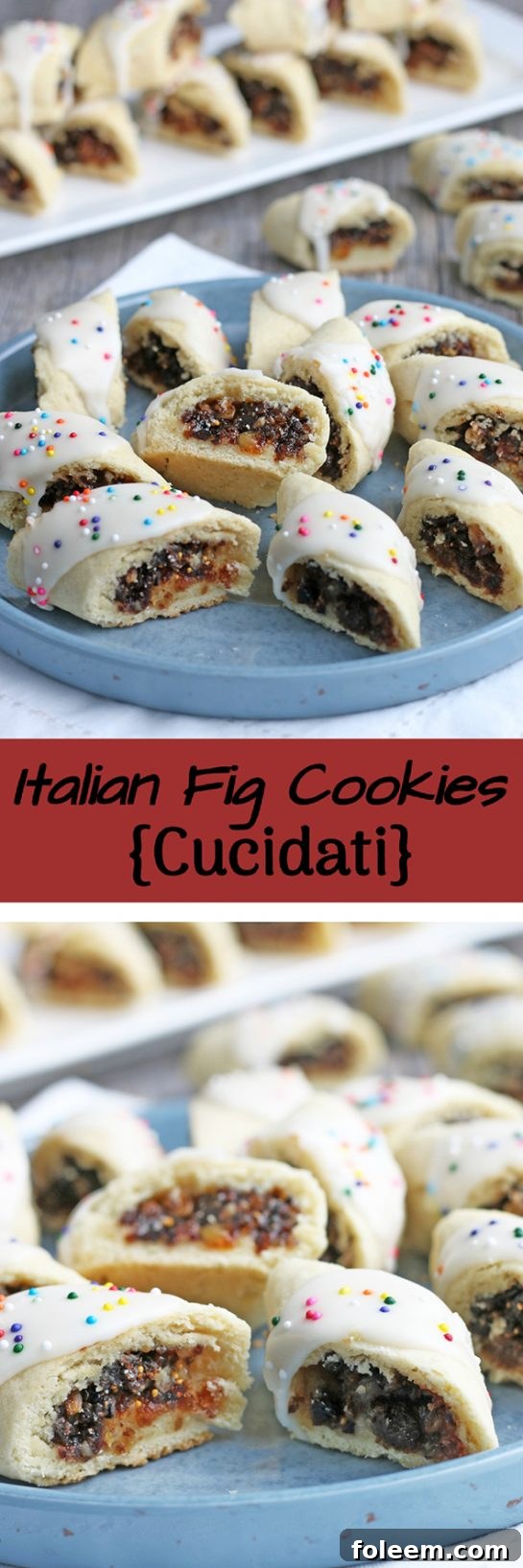 My recipe for fig cookies is easy and delicious! These Italian fig cookies are also called Cucidati! These cookies blend the sharp bright flavor of citrus with a buttery and indulgent cookie shell. 