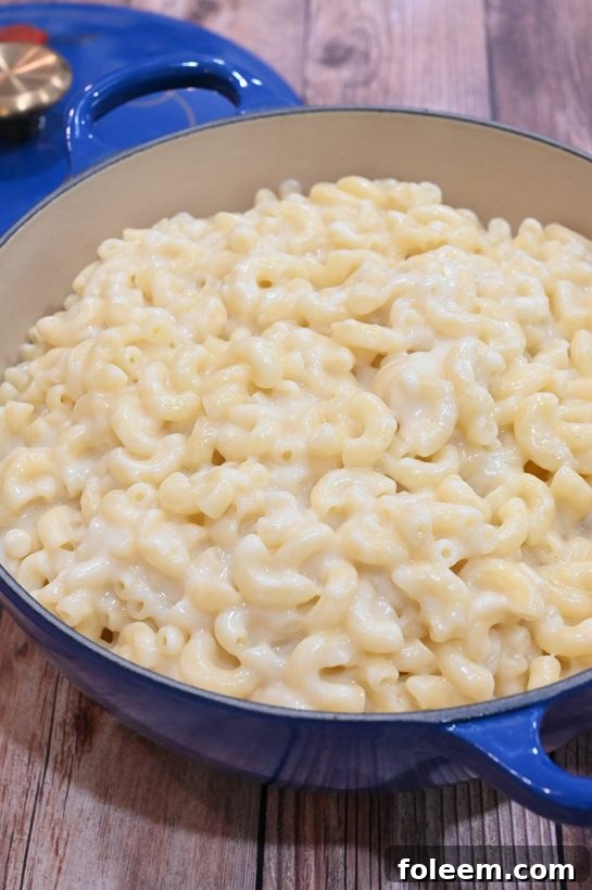 Golden-brown stovetop macaroni and cheese, topped with shredded cheddar
