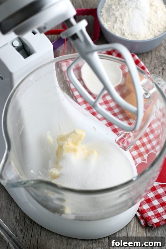 The initial stage of cookie preparation: sugar and softened butter are blended together in a stand mixer, forming the base for our sugar cookie decorating ideas.