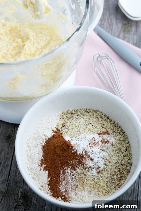 Dry ingredients being combined in a separate bowl, ensuring an even distribution before they are incorporated into the wet mixture.