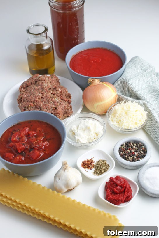 These are all the ingredients needed for how to make lasagna soup laid out before we begin.