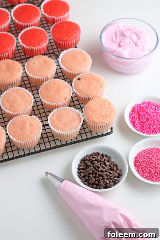 About to decorate the baked cupcakes with the buttercream frosting using a piping bag