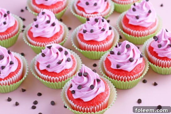 Close-up finished shot of the decorated watermelon cupcakes with mini chocolate chips on top
