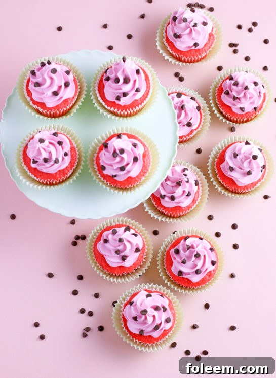 Overhead shot of the final product watermelon cupcakes recipe