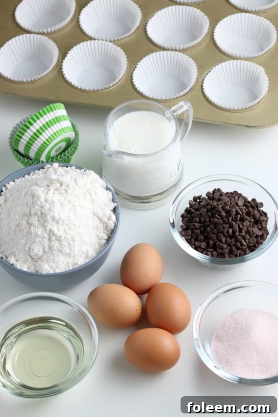 Ingredients needed to make my watermelon cupcakes recipe