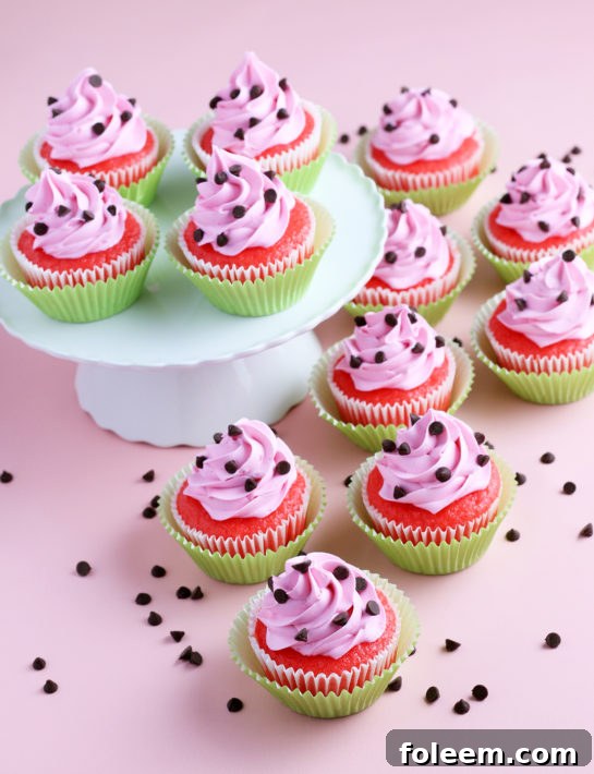Photo of the decorated watermelon cupcakes with buttercream frosting and mini chocolate chips on top