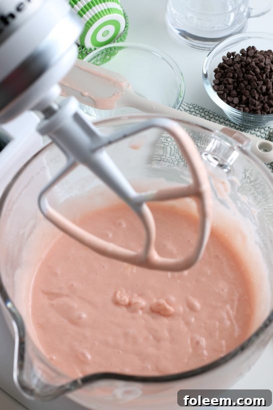 Mixing the dry and wet ingredients for the watermelon cupcakes recipe