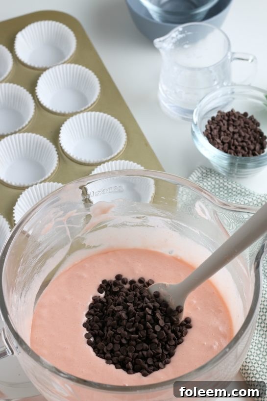 Adding the chocolate chips to the watermelon cupcakes batter